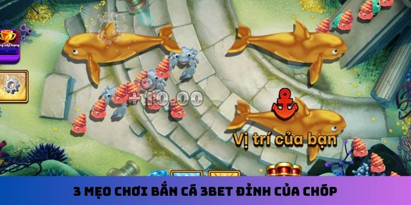 3 mẹo chơi bắn cá 3Bet đỉnh của chóp