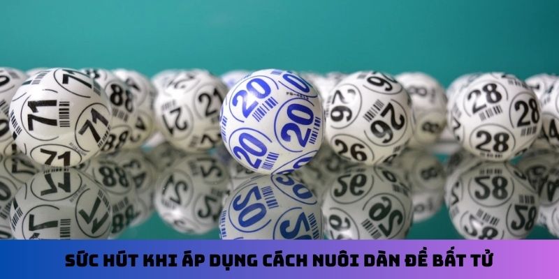 Sức hút khi áp dụng cách nuôi dàn đề bất tử