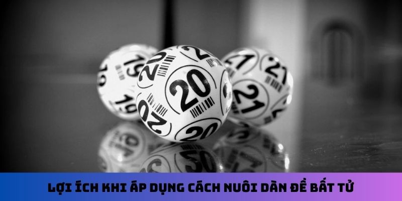 Lợi ích khi áp dụng cách nuôi dàn đề bất tử
