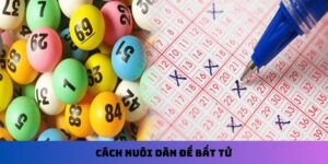 Cách nuôi dàn đề bất tử