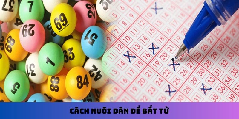 Cách nuôi dàn đề bất tử