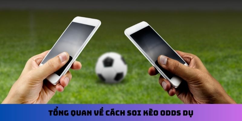 Tổng quan về cách soi kèo Odds dụ