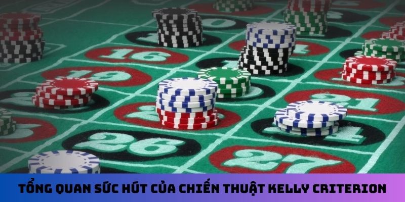 Tổng quan sức hút của chiến thuật Kelly Criterion