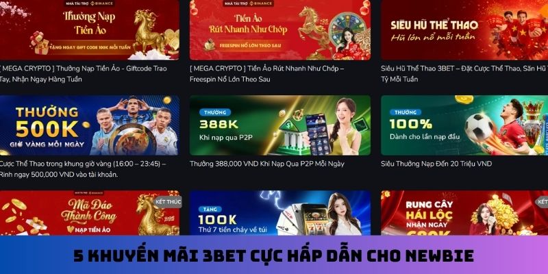 5 khuyến mãi 3Bet cực hấp dẫn cho newbie